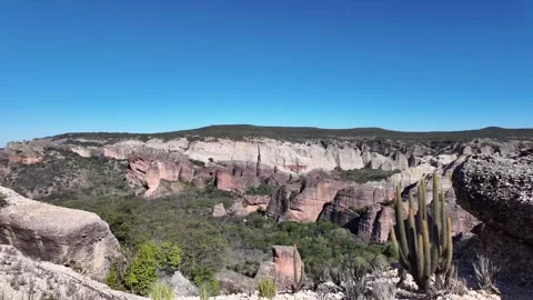 Wide view of eroded sandstone cliffs and cactus over green valley at Serra da Vídeo Stock 345829801