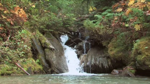 Wide view of falls Vídeo Stock 263953