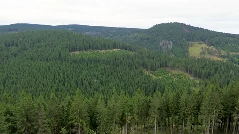 Wide view forest landscape with mountains and tree covered hills Video stock 318463090