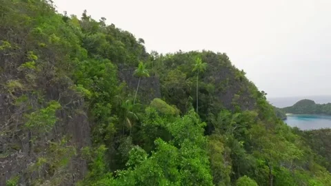 Wide view of FPV drone over the limestone rocks of  Raja Ampat, Indonesia. Stock Footage 293328663