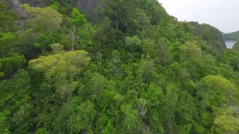 Wide view of FPV drone over the limestone rocks of  Raja Ampat, Indonesia. Stock Footage 293329452