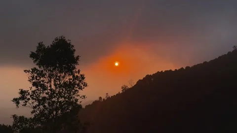 Wide View Of Glowing Sunset Behind Tree Silhouette In Bali Stock-Footage 342266102
