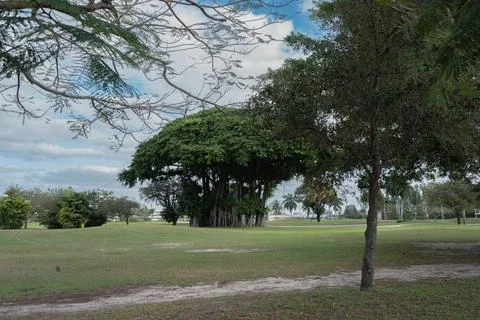 Wide view of a golf course Stock Photos