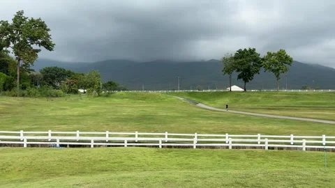 A wide view of a grassy field with trees under an open sky. Natural landscape Vídeo Stock 335370540