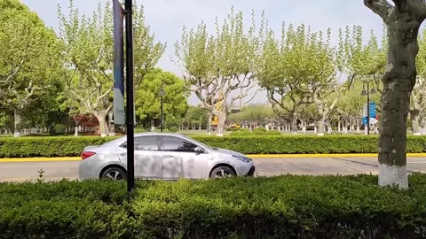 Wide view of green trees background with moving car , peaceful and scenetic view Video stock 250991751