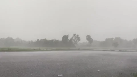 Wide View Heavy Rainstorm Downpour on Lake Surface with Water Mist, Tropical Stock Footage 345360950