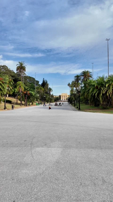 Wide View of Independence Park and Ipiranga Museum on a Sunny Day, Sao Paulo Video stock 334943176
