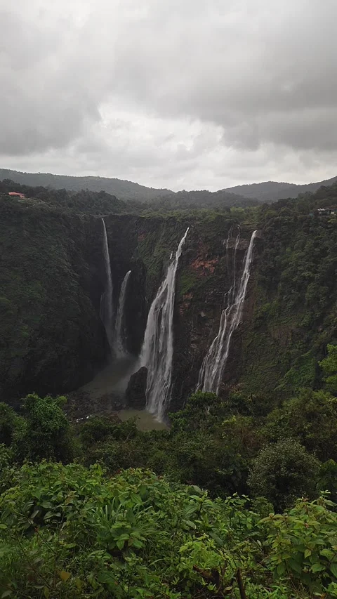 Wide view of Jog Falls showcasing cascading water and scenic natural landsc.. Stock Footage 339081326