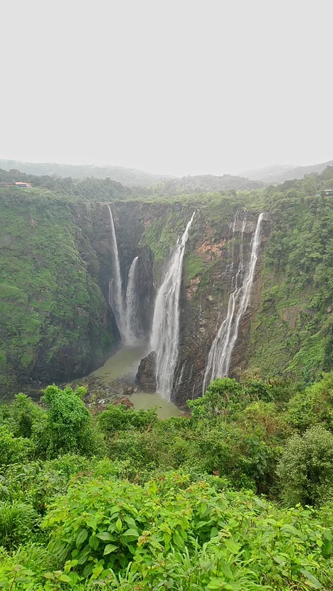 Wide view of Jog Falls showcasing cascading water and scenic natural landscap Stock Footage 339081351