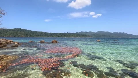 Wide view of Kolipe Island shore with rocks and islands on a sunny day Stock Footage 339900976