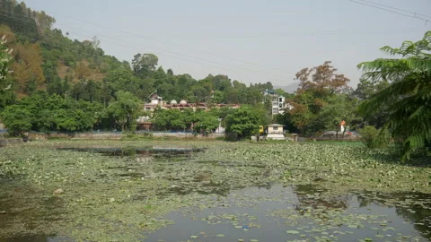 Wide View Of Lake Covered With Lotus Leaves And Green Hills 4K Stock Footage 346365595