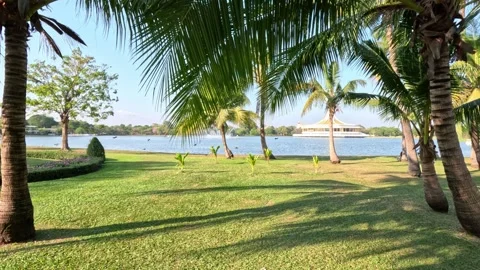 Wide View of Lake Surrounded by Palm Trees and Fountain in Bangkok Park Stock Footage 339980873