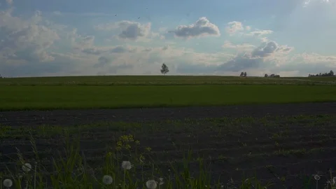 Wide view of the landscape. Fields and the sky on a sunny summer day. Stock Footage 108932991