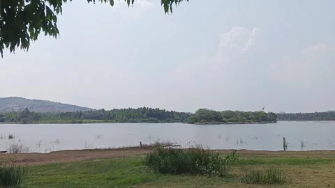 A wide view of a large lake surrounded by agricultural lands under a clear .. Stock Footage 313382149