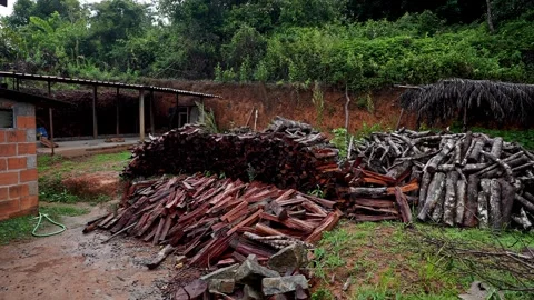 A wide view of a large pile of stacked firewood used for heating or cooking.. Stock-Footage 332353850