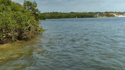 Wide view Layered landscape over blue water to two rocky oyster sand bars to mot Stock Footage 275511847