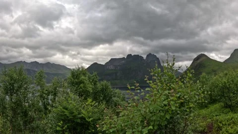 Wide view of lush green birch shrubs with dark mountain peaks in Senja Norway 動画素材 342059402