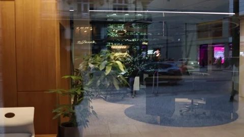 Wide view: Modern glass storefront reflecting urban street life. Indoor greenery Stock Footage 300115345