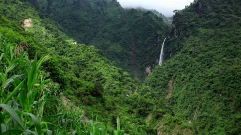 Wide view of monsoon waterfall in lush green himalayan forest Stock Footage 325427823