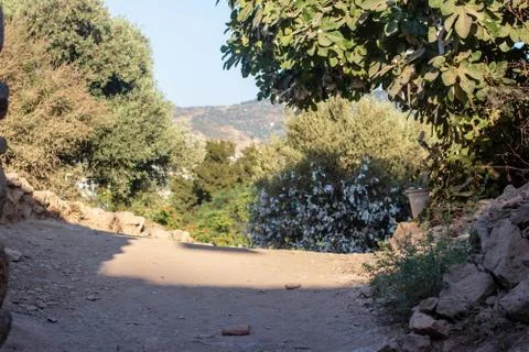 A wide view from a mountain pathway inside forest Stock Photos