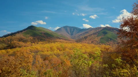 Wide view of mountain peaks surrounded by vibrant autumn forest under Stock Footage 327570652