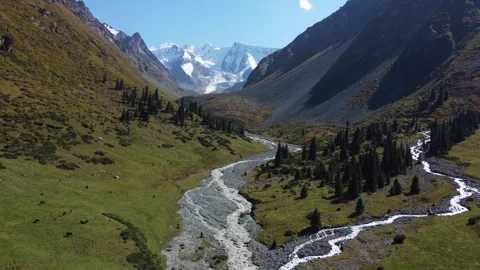 Wide view of mountain rivers merging in alpine valley under snow-capped peaks Stock Footage 335647580