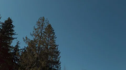 Wide view on mountains. Slide camera view from right to left side. Snowy peaks  Video stock 127981711