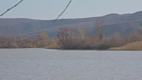 Wide View of Mtkvari River with Hills and Reeds Vidéo 335107700