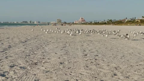 Wide View north Pass-a-grille St. Pete Beach, Florida. Leading lines of beach an Stock Footage 302607259
