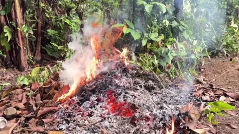 Wide View of Open Bonfire Burning a Pile of Dry Autumn Leaves Stock Footage 346009064