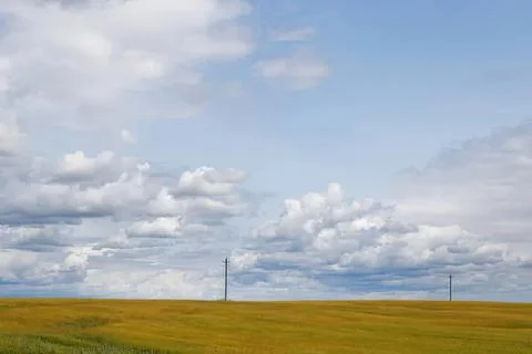 Wide view of open field with power lines and cloudy sky Stock Photos