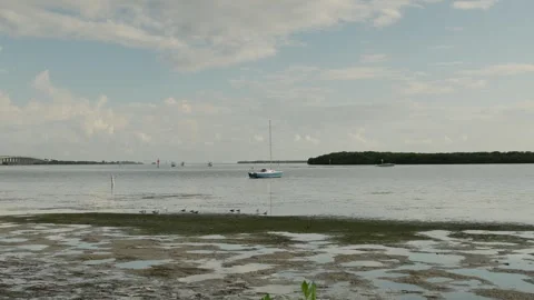 Wide view out over low tide puddles towards sailboat at Maximo Park water toward Stock Footage 284731265