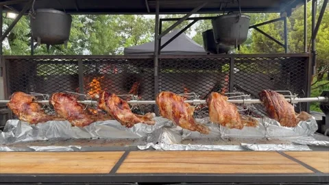 Wide view – Outdoor BBQ setup with fire and rotisserie"Wide view of Stock Footage 285621703