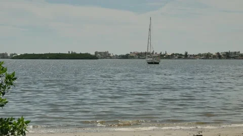 Wide view  over beach sand and green tree on left towards bay water with a white Video stock 284360829