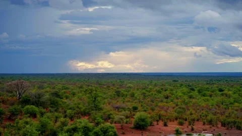 Wide view over green bush to a distant waterhole under a cloudy sky 스톡 동영상 345521388