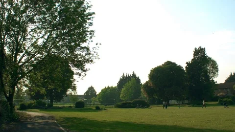 Wide View of Park Stock Footage 76104847