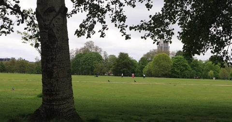 Wide view of people walking in a leafy city park Stock Footage 321020485