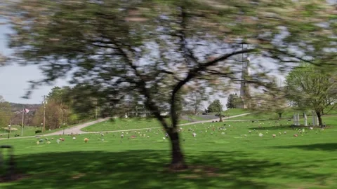 Wide view of Pittsburgh cometary in bright sunlight with green grass 動画素材 307215252