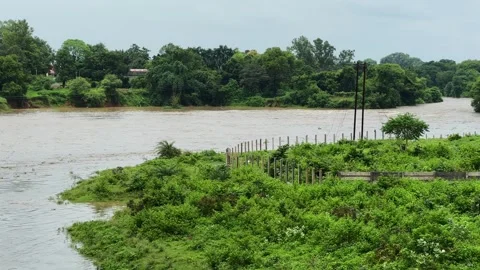 Wide View of Rain Swollen River With Lush Green Banks and High Water Level Stock Footage 344583329