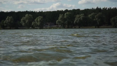 Wide view of a river bank. Green forest on a background. Slow motion. Stock Footage 123712676
