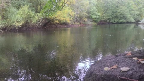 Wide View Of River Gently Flowing With Small Ripples Through Forest Stock Footage 348063165