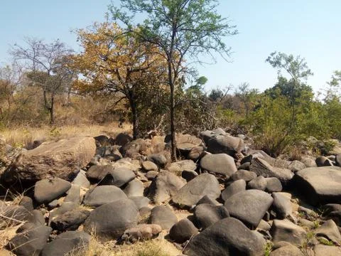 A wide view of river rocks when water dries. Stock Photos