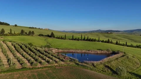 Wide View of Rustic Farm Pond Set in Green Tuscan Hills Vidéo 347114774