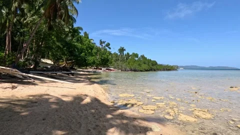 Wide view of a secluded tropical beach with boats and mangroves in the Stock Footage 339961528