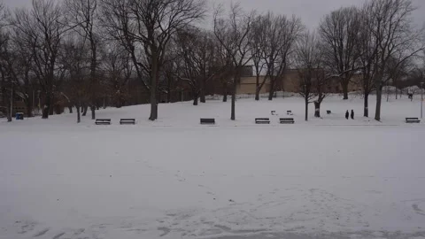 A wide view of a snow-covered park landscape under a gloomy grey sky 動画素材 334348326