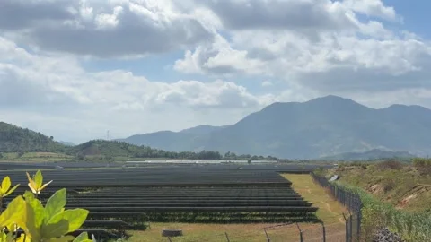 Wide view of a solar panel field arranged in long parallel rows across open land Stock Footage 330174704