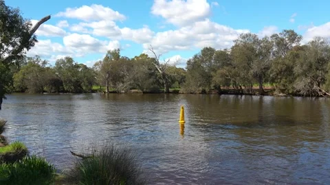 Wide View of Swan River Flowing High at Lilac Hill Park, Perth Under Blue Sky Stock Footage 344326487