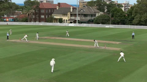Wide view of a sydney grade cricket match Stock Footage
