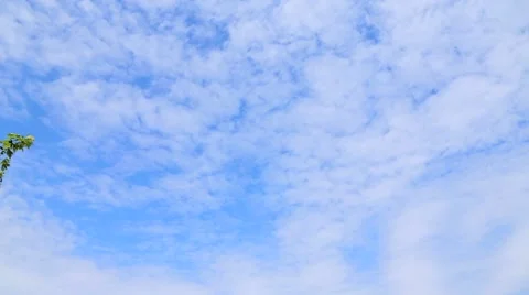 Wide View of Toronto Canada Skyline Stock Footage 59553897