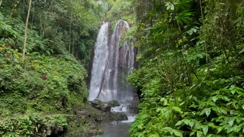 Wide View Of Towering Tropical Waterfall In Bali Jungle Video stock 342194893